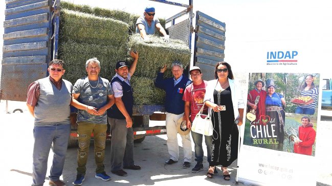 Sequía amenaza a crianceros del Valle del Huasco