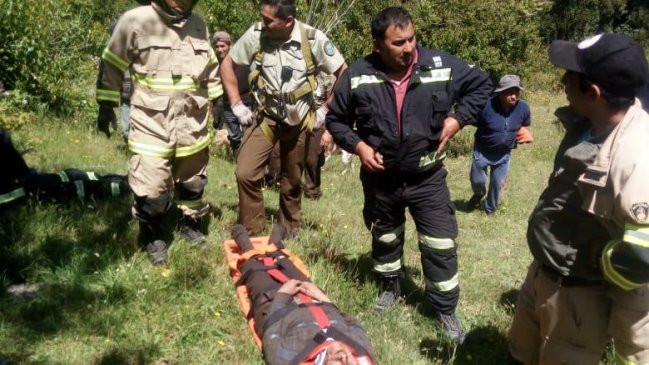 Adulto mayor salvó de milagro tras caer a una quebrada de 25 metros en Panguipulli
