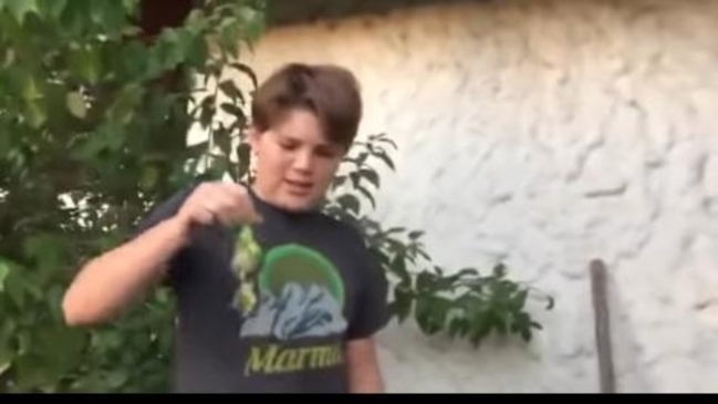 De todos los estilos: Las reacciones al video del Chimuelo en Twitter