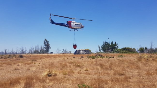 21 comunas registran riesgo de incendio forestal durante esta semana en O'Higgins