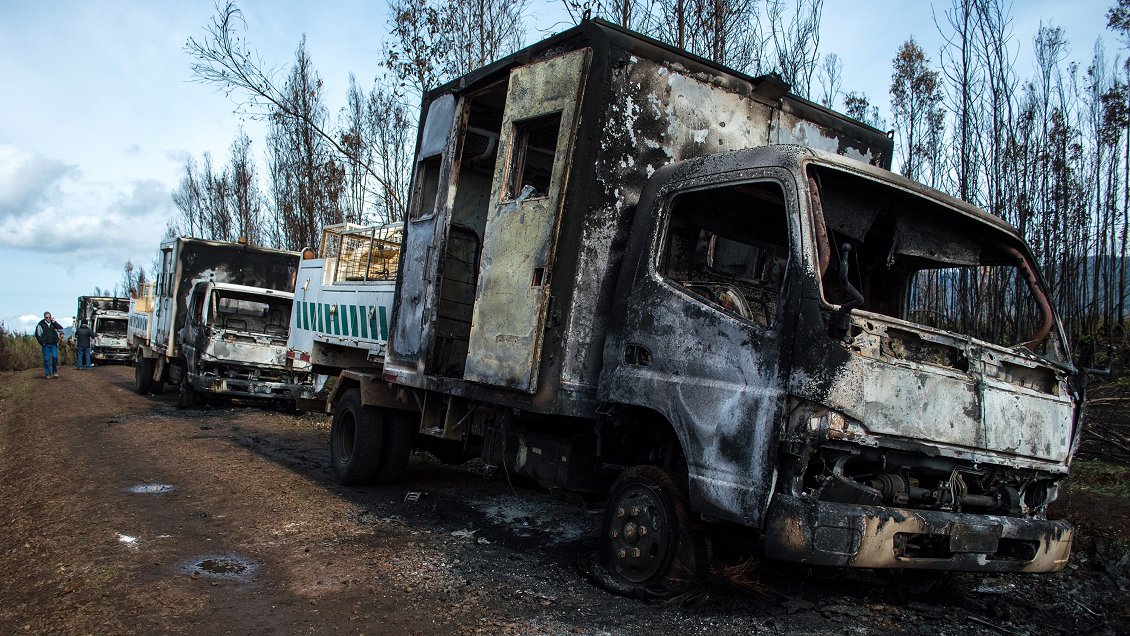 La Araucanía registró aumento de denuncias por violencia rural en 2018