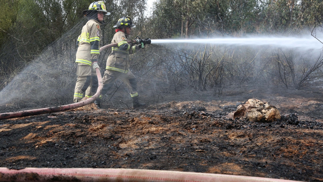 Conaf y Bomberos controlaron incendio forestal en Quintero