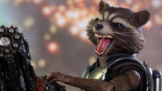 Mapache se viralizó al atacar a un humano a lo Rocket