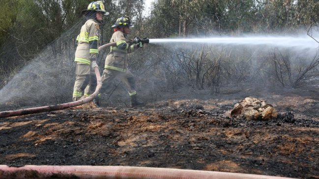 Conaf y Bomberos controlaron incendio forestal en Quintero