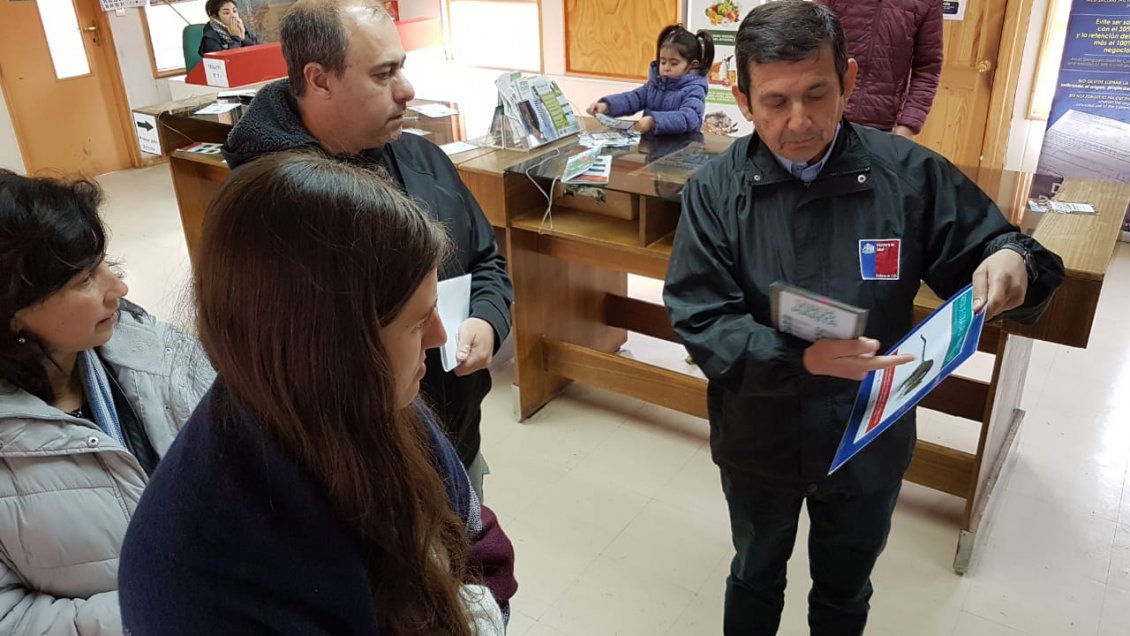 Reloncaví: Autoridad reconoce 