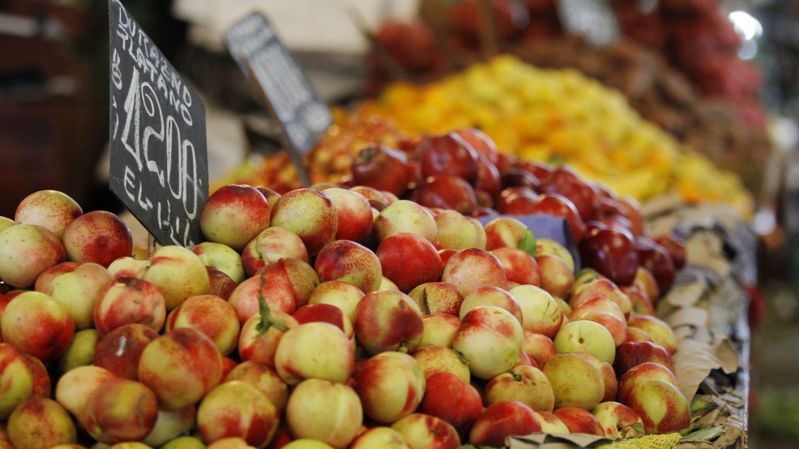 China fue el principal destino de exportaciones agrícolas chilenas