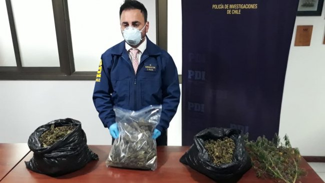 Ladrón de celulares fue sorprendido con cuatro kilos de marihuana en su casa
