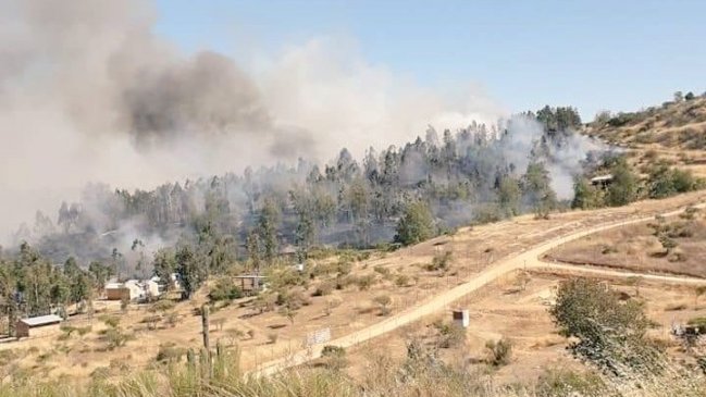 Declaran alerta roja por incendio forestal en sector El Cuzco en Litueche