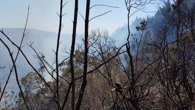 Vecinos de Navidad marcharán en Rancagua tras incendio que afectó a La Polcura