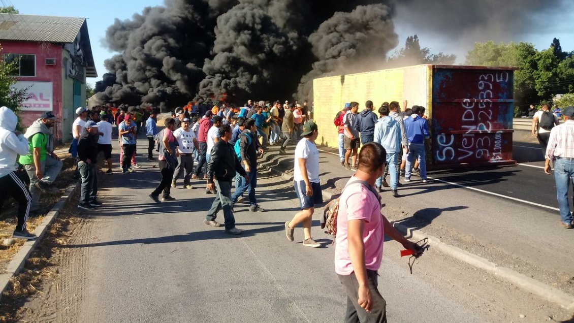 Ley de la jibia genera manifestaciones de pescadores industriales y artesanales