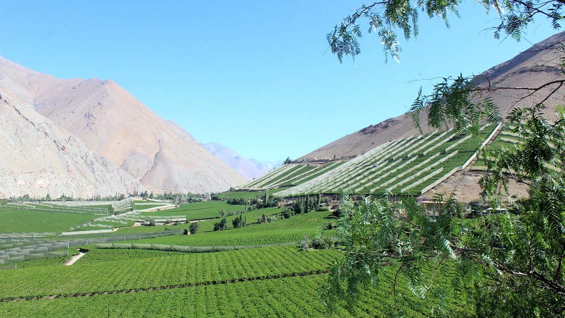 The New York Times eligió al Valle del Elqui entre los destinos imperdibles del mundo de 2019