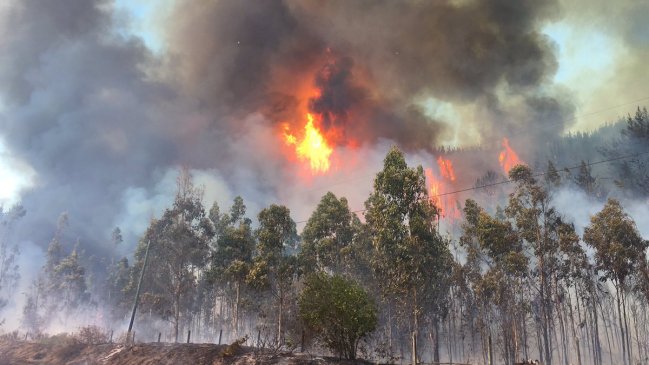 Madre de menor acusado de provocar incendio forestal denuncia amenazas de muerte