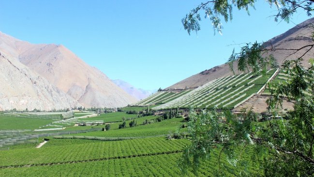 The New York Times eligió al Valle del Elqui entre los destinos imperdibles del mundo de 2019