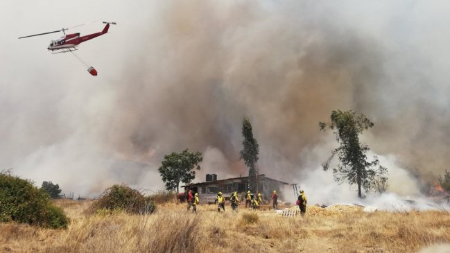 Bomberos y Conaf controlaron incendio forestal en Puente Alto