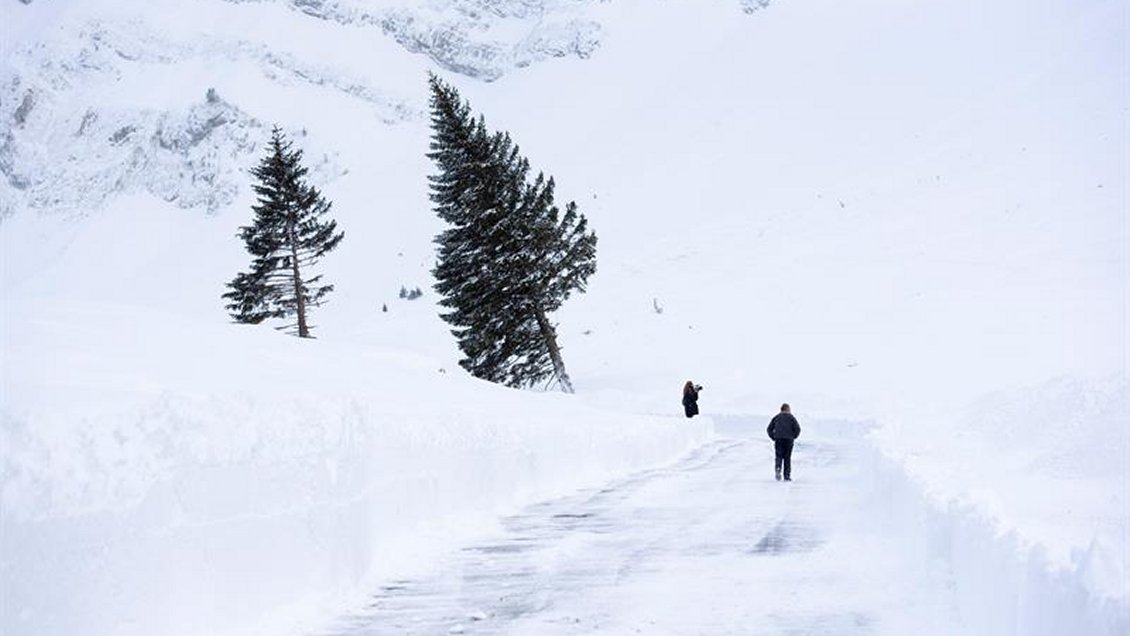 Dos trabajadores murieron en estación de esquí francesa al manipular explosivos