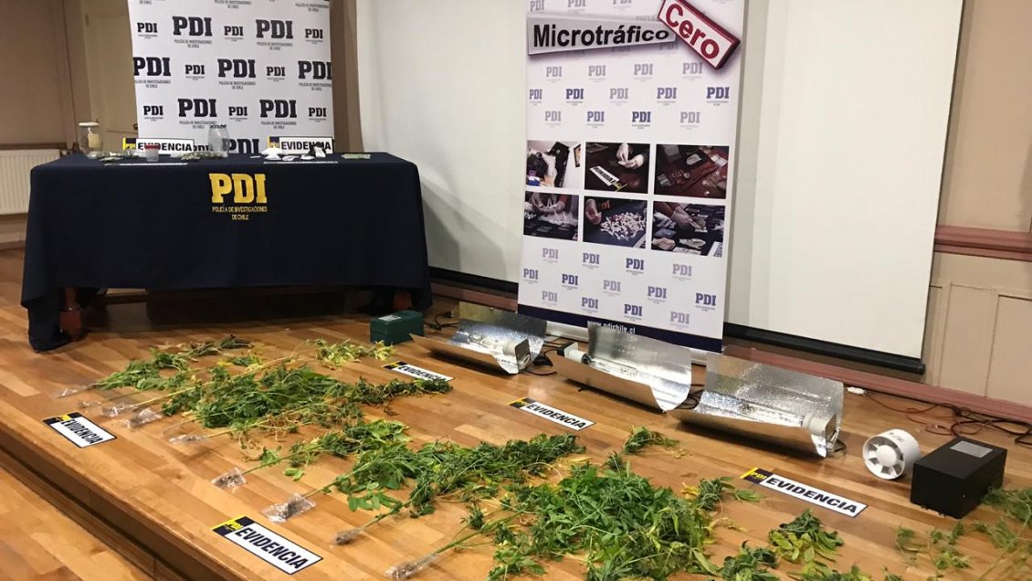 PDI desbarata banda dedicada al tráfico de drogas en Porvenir