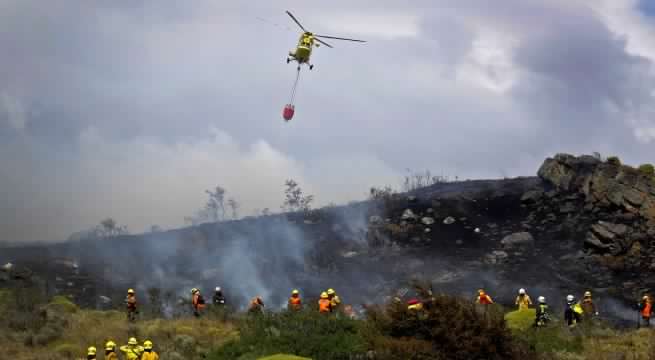 Conaf combate tres incendios activos en la precordillera de La Araucanía