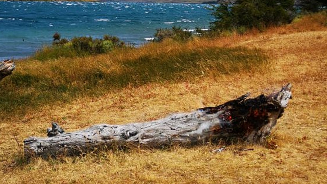 Visitante que apagó mal un cigarro provocó foco de incendio forestal en Torres del Paine