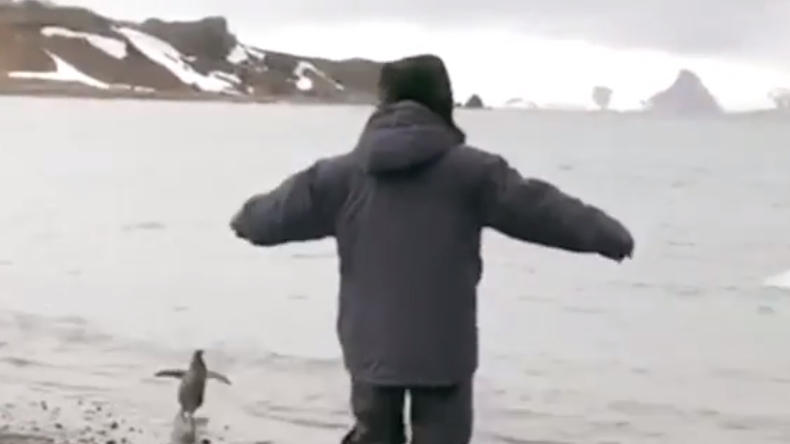 Presidente Piñera imitó a un pingüino en la Antártica
