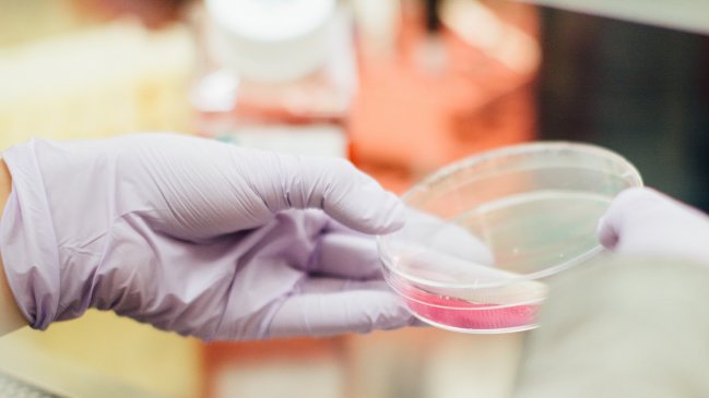 Científicos descubren método para detener la metástasis al transformar células cancerosas