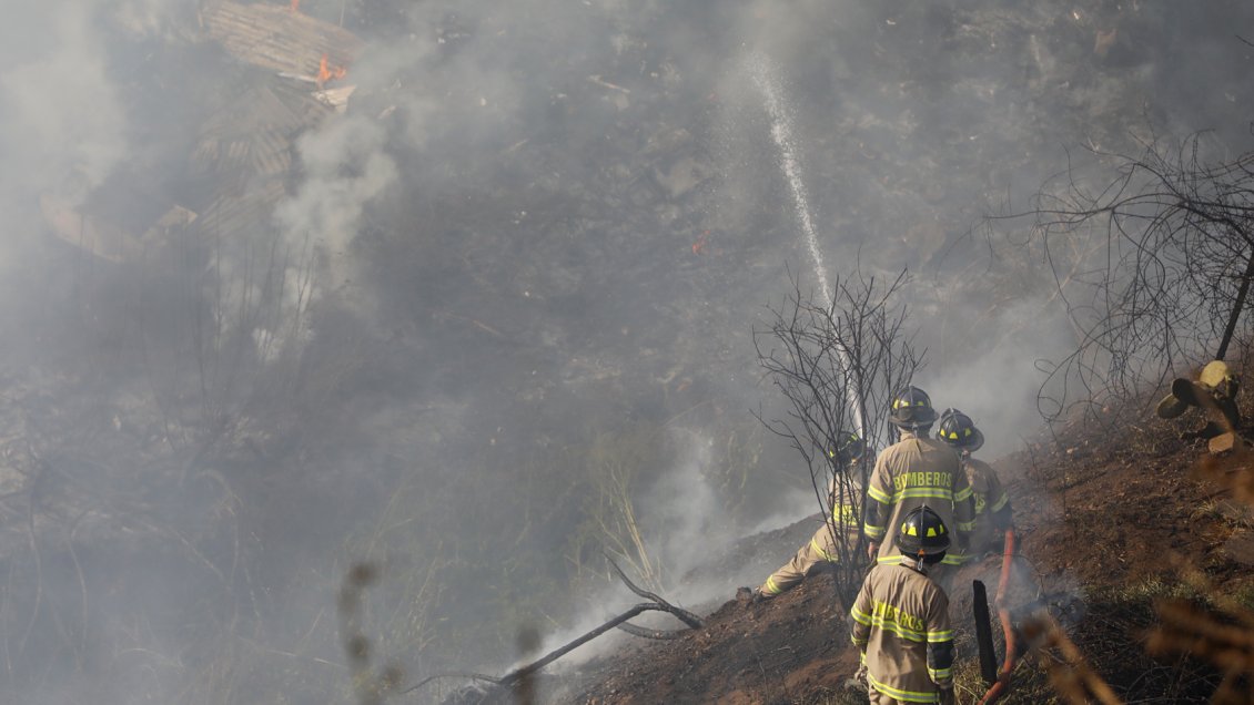 Corma: Bajaron hectáreas arrasadas por incendios, pero febrero será 