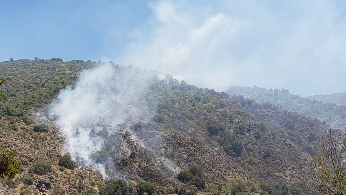 Declaran alerta amarilla en la provincia de Cachapoal por simultaneidad de incendios forestales