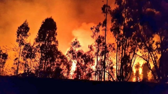 Agricultores afectados por incendio de Santo Domingo recibirán recursos de emergencia