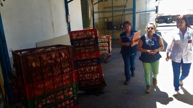 Decomisan una tonelada de carne descompuesta desde fábrica en Chillán