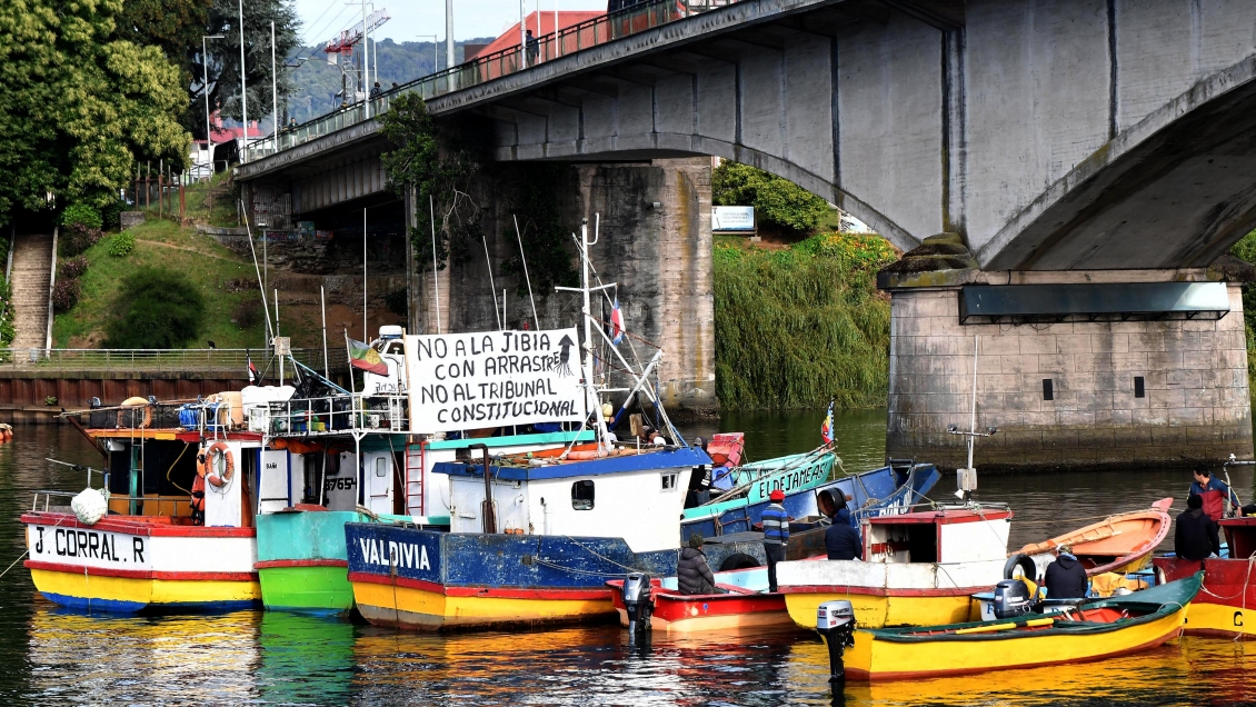 Diputado PC asegura que el Gobierno renunció al veto y promulgará ley de la jibia