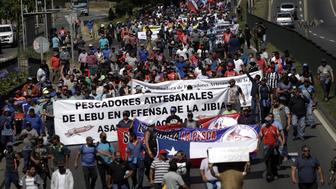 Ley de la Jibia: Pescadores artesanales no se sentarán a dialogar con el Gobierno