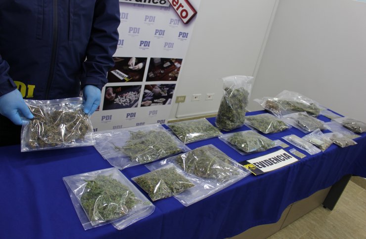 PDI de San Carlos decomisó droga avaluada en ocho millones de pesos