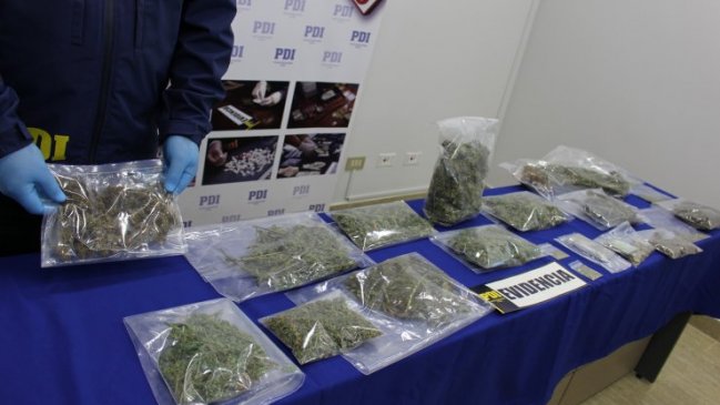 PDI de San Carlos decomisó droga avaluada en ocho millones de pesos