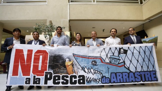 Diputado y Ley de la Jibia: 