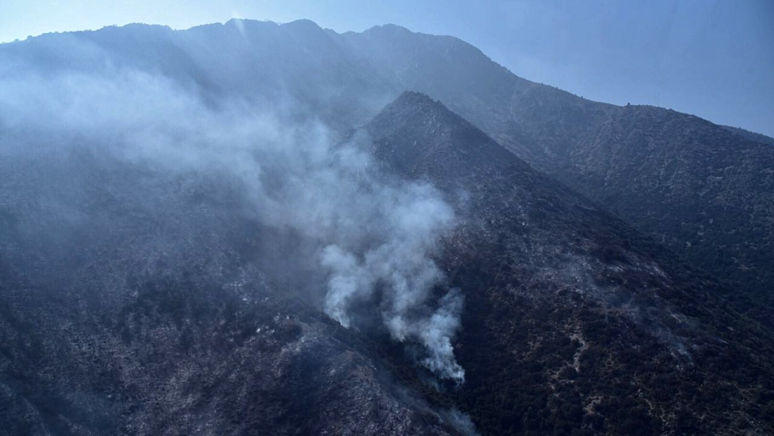 Ley delitos ambientales: Investigaciones permitirán allanar e interceptar teléfonos