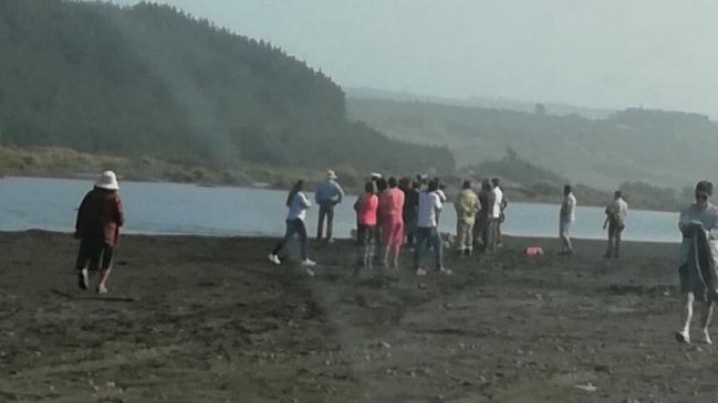 Curepto: Hombre murió en una laguna tras salvar a niña que se ahogaba