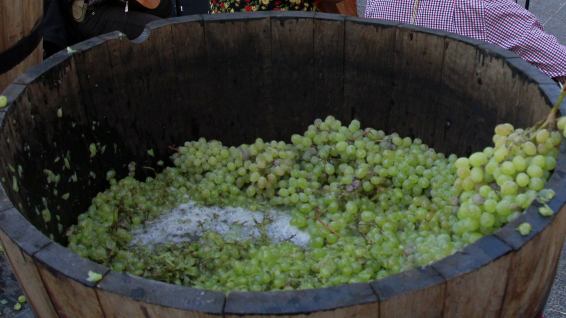 Viñateros no quedaron conformes tras reunión con Ministro Walker en Ñuble