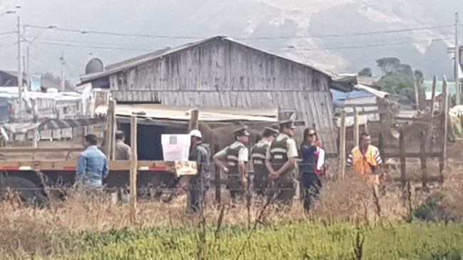 Carabineros desalojó a pobladores que se tomaron terreno en Iloca