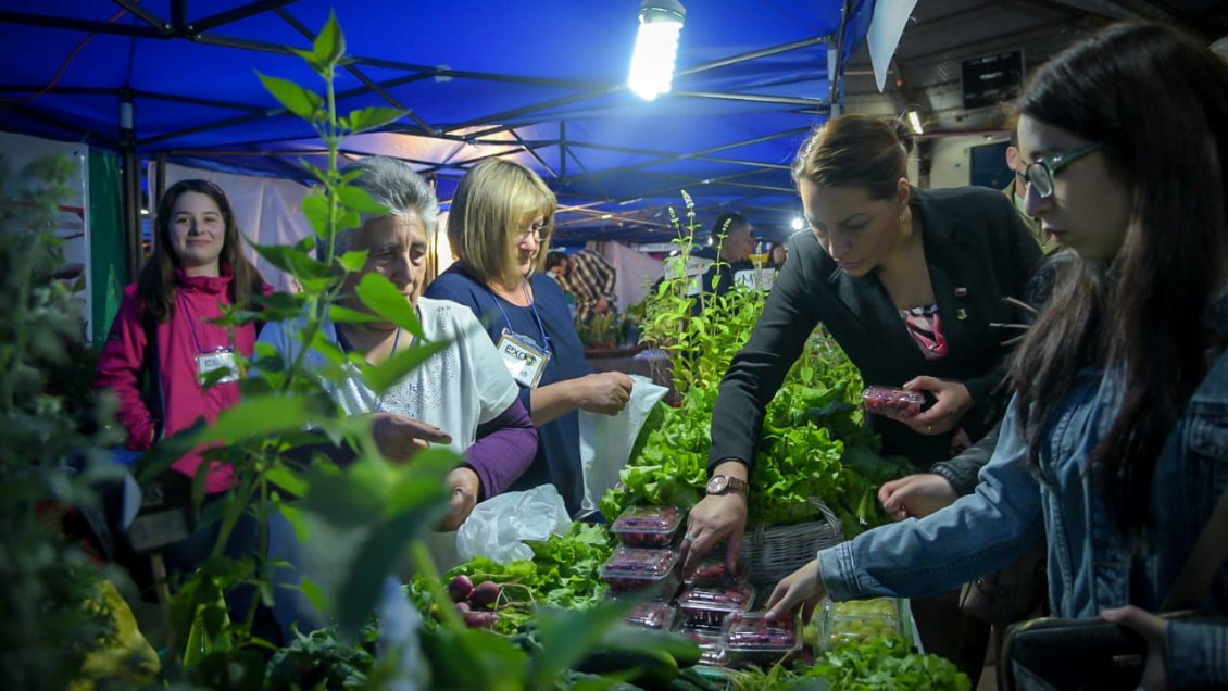 Cerca de 30.000 personas disfrutaron de la última versión de la Expo Magallanes