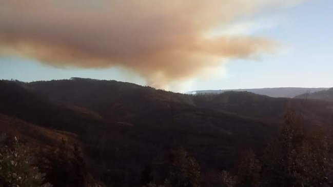 Declaran Alerta Amarilla por incendios forestales en cuatro comunas del Maule