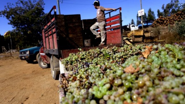 Viñateros acusan presiones para deponer protesta en Chillán