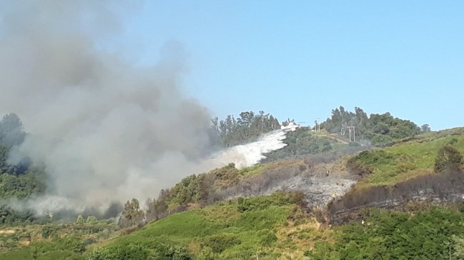Onemi decretó alerta roja en Temuco por incendio en cerro Mariposa