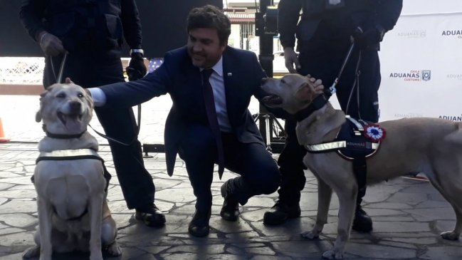 Reconocimiento de canes en retiro marcó celebración del Día Internacional de Aduanas en Iquique