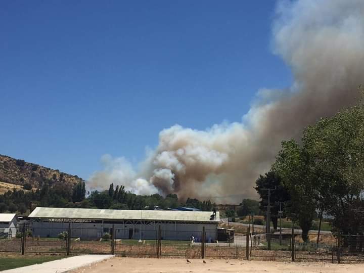 Alerta amarilla por incendio forestal en San Javier