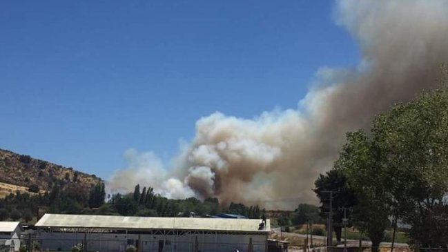 Alerta amarilla por incendio forestal en San Javier