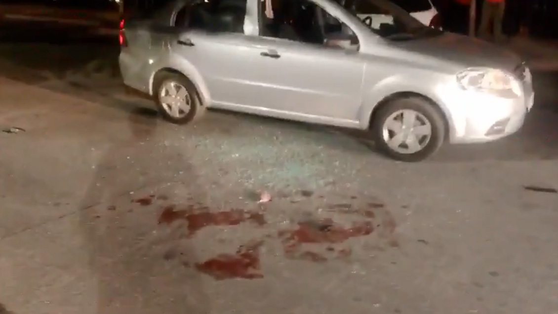 Guardia del Palacio de La Moneda frustró asalto en parque de Quinta Normal