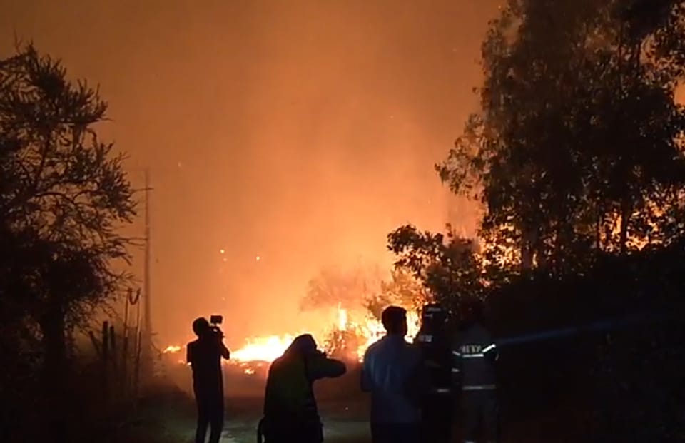 Autoridades realizaron un negativo balance por incendios forestales en el Maule