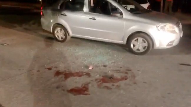 Guardia del Palacio de La Moneda frustró asalto en parque de Quinta Normal