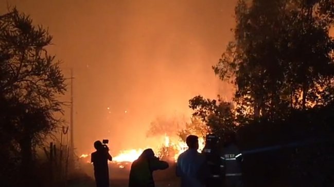 Autoridades realizaron un negativo balance por incendios forestales en el Maule