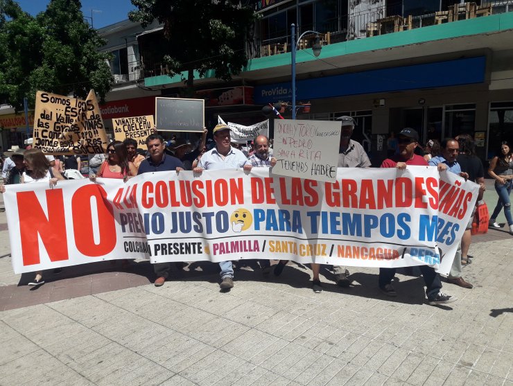 Viñateros botaron vino y regalaron borgoña en Chillán