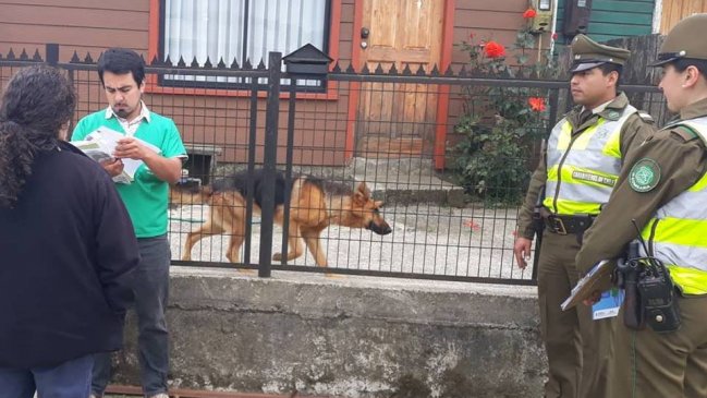 Ancud: Iniciaron fiscalización por tenencia responsable de mascotas